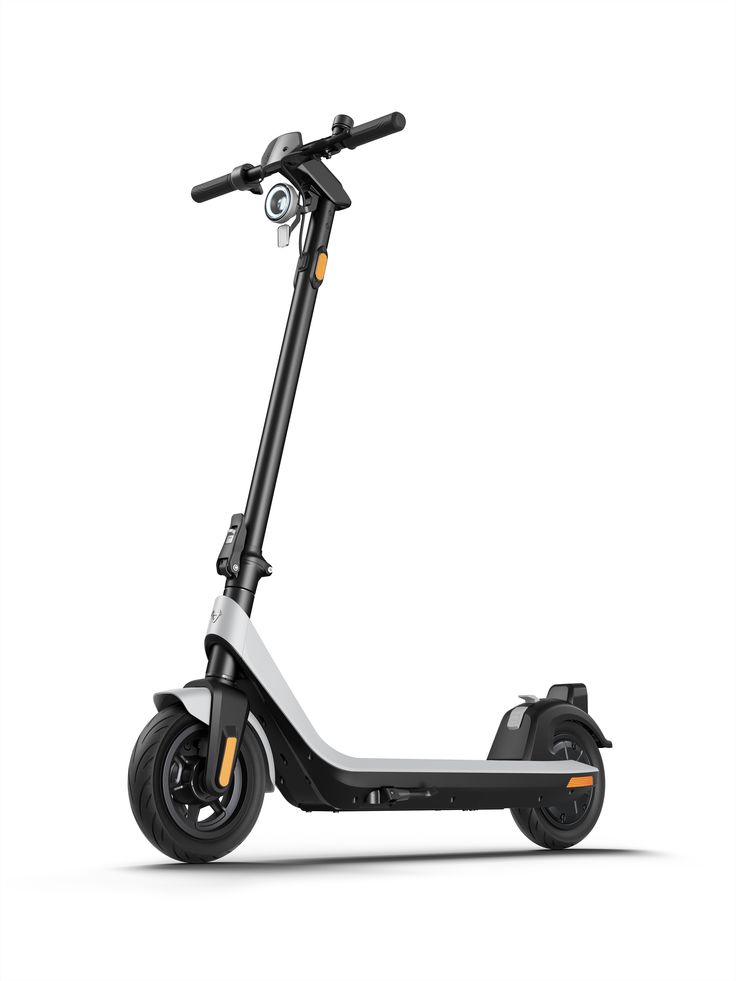 Rowdy Kick Scooter